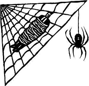 Web of Lies